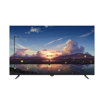 55-palcový inteligentný 4K Netflix Android TV